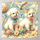 Search for bichons posters Puppy