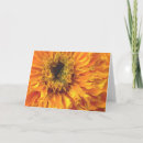 Search for mexican day of the dead cards Floral