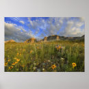 Search for prairie art Flora