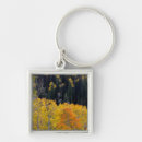 Search for autumn trees key rings Aspen