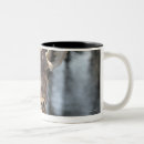 Search for giraffe head mugs Outdoors