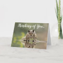 Search for wildlife get well cards Thinking of you