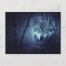 Search for wolf postcards Wild animal