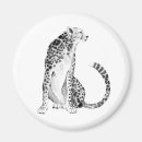Search for wild cat magnets Jungle