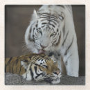 Search for tiger barware Brown