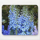 Search for delphinium electronics Botanical