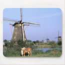 Search for grazing mousepads Photography