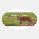 Search for boxing kangaroo stickers For kids