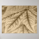 Search for maples posters Vintage