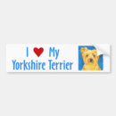 Search for yorkshire bumper stickers Cute