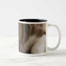Search for teething mugs Vertical