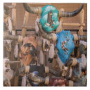 Search for new mexico tiles Western