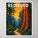 Search for redwood posters Vintage travel