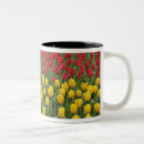 Search for keukenhof mugs Europe