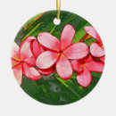 Search for plumeria christmas tree decorations Flora