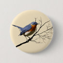 Search for twigs badges Nature