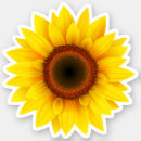 Search for flower bumper stickers yellow
