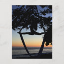 Search for stretching postcards Tree
