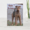 Search for airedale cards Cute