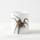 Search for creepy spider mugs Nature