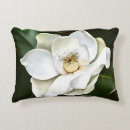 Search for white magnolia cushions Illustration