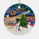 Search for fox christmas decor Pets