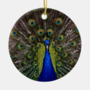 Search for peacock christmas tree decorations Design
