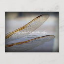 Search for dragonfly quote cards invites Nature