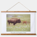 Search for digital bison art Calf