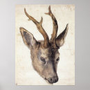 Search for stag head art Wildlife