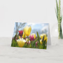Search for tulip easter cards Pink