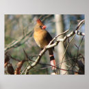 Search for bird watching art Lover