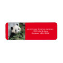 Search for red panda return address labels Bear