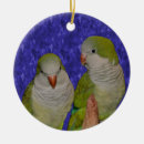 Search for parakeet christmas tree decorations Cute