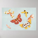 Search for large butterfly posters Vintage