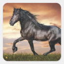 Search for black beauty horse stickers Animal