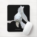Search for koi mousepads Carp