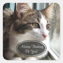 Search for cat thinking stickers Animal