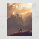 Search for chile Chile souvenir