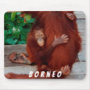 Search for borneo electronics Malaysia