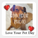 Search for love pets stickers Fish