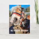 Search for equine seasonal cards Funny