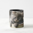 Search for bucket mugs Sweet