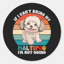 Search for maltipoo stickers Animal