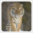 Search for captivity stickers Full length