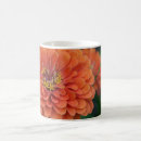 Search for zinnia flowers mugs Orange