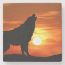 Search for wolf coasters Howl