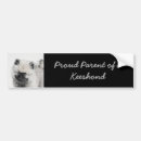 Search for drawing bumper stickers Grey