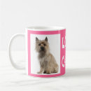 Search for cairn terrier mugs Puppy
