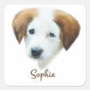 Search for permanent posters Puppy